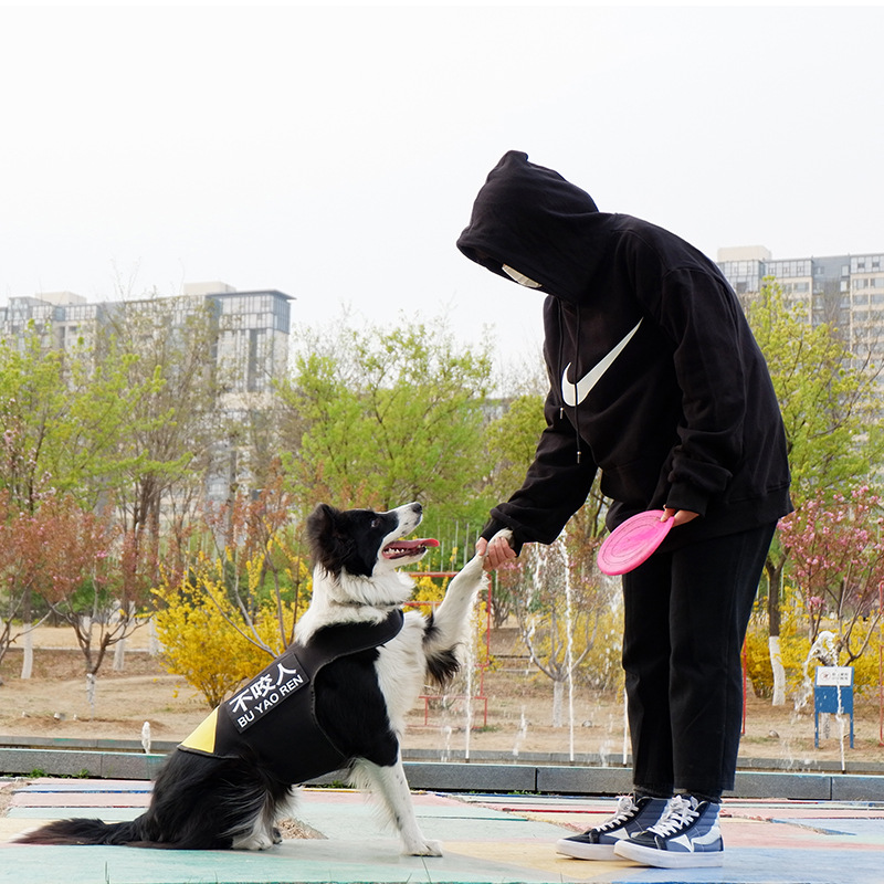 dog wetsuit diving wetsuit doggie wetsuit vest
